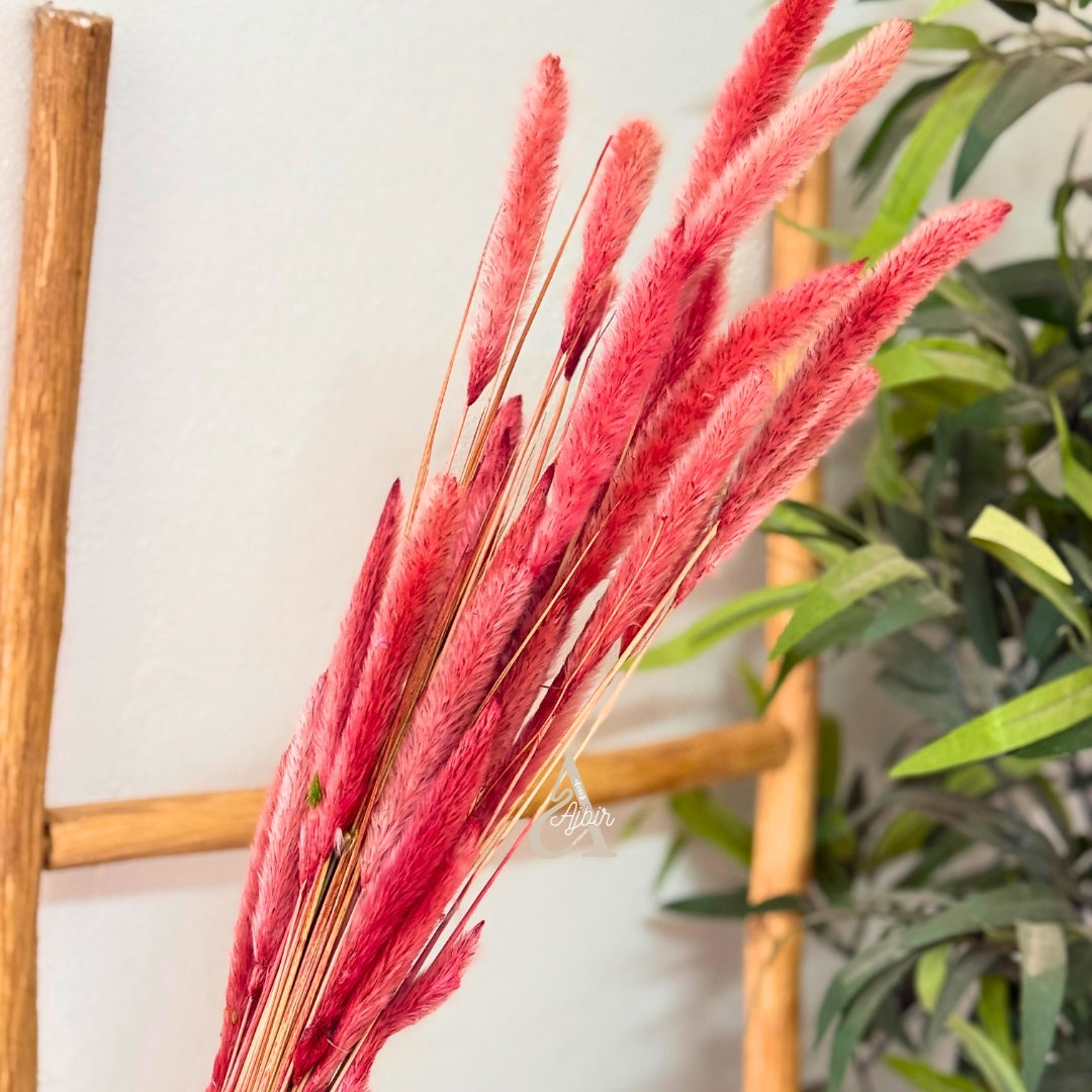 Bouquet de petites plantes séchées corail