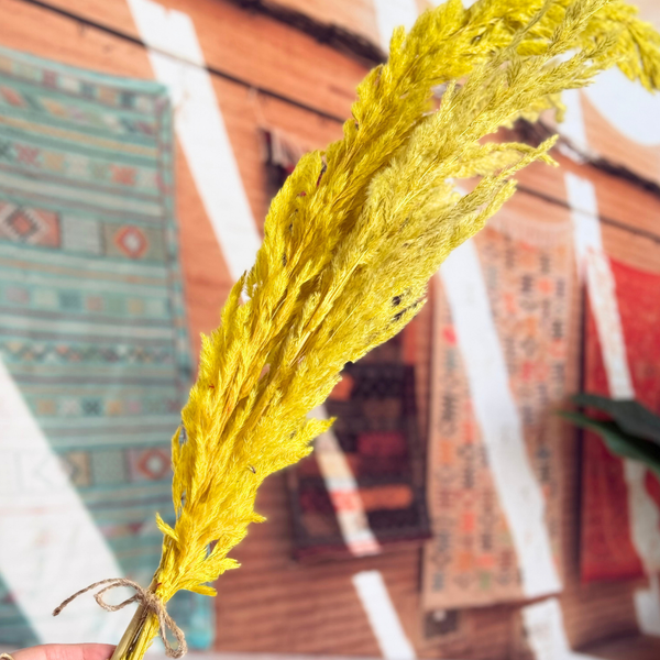 Bouquet de 3 pampas jaunes