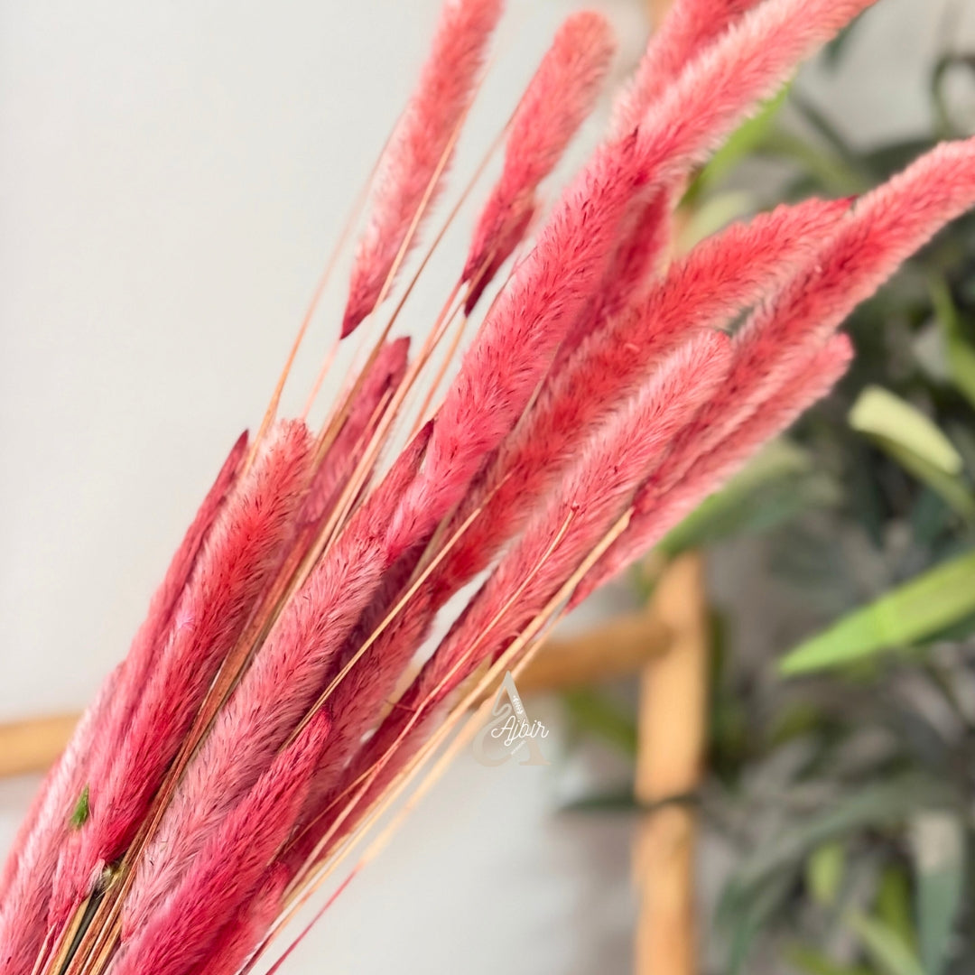 Bouquet de petites plantes séchées corail