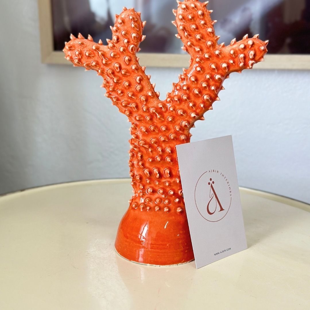Grand cactus - Ajbir