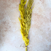 Bouquet de 3 pampas jaunes