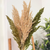 Bouquet plantes séchées vert et beige