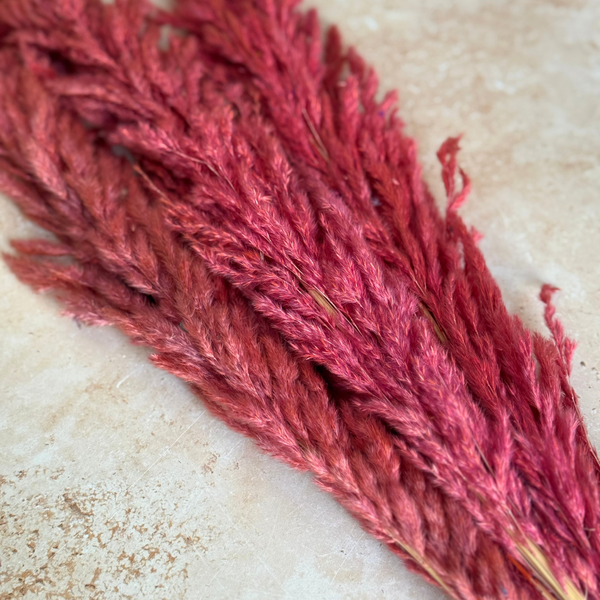 Bouquet de 3 pampas corail