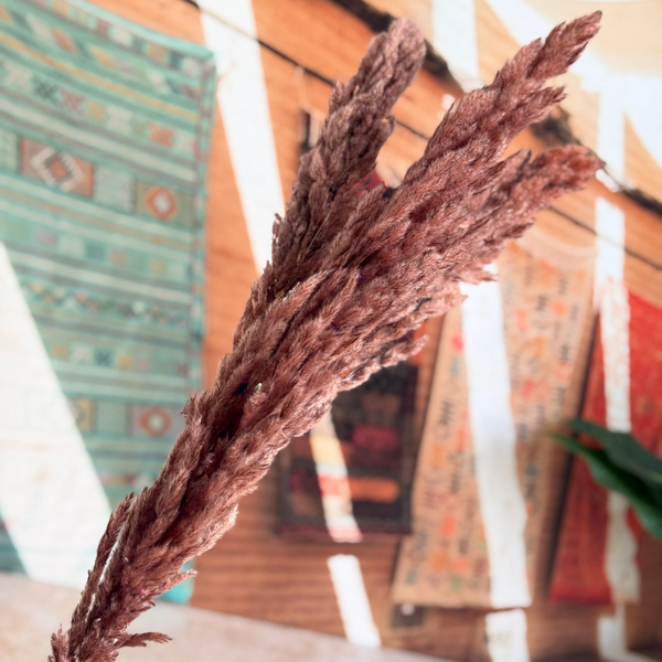 Bouquet de 3 pampas marron