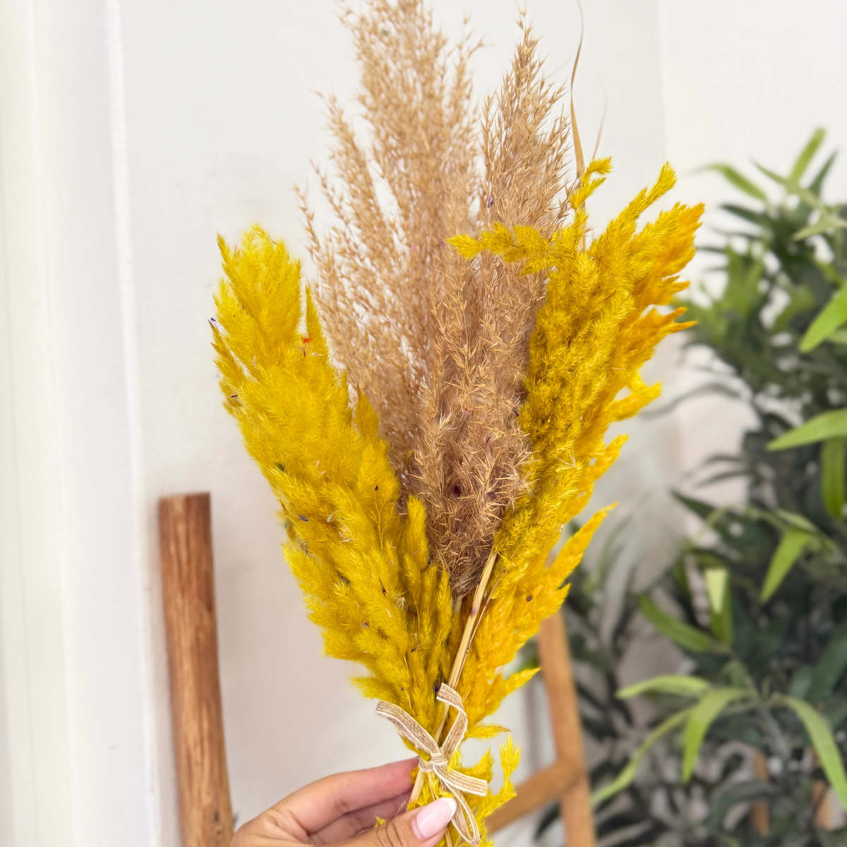 Bouquet plantes séchées beige et jaune