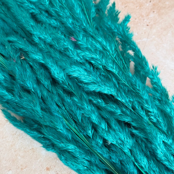Bouquet de 3 pampas en turquoise foncé