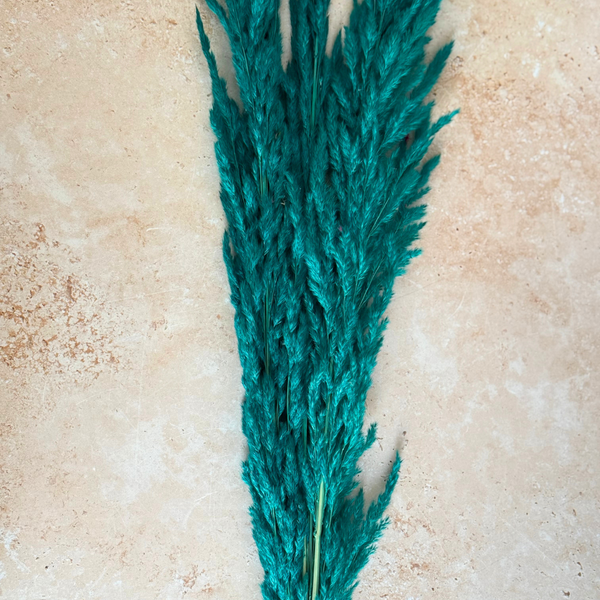 Bouquet de 3 pampas en turquoise foncé