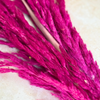 Bouquet de 3 pampas rose magenta