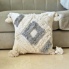 Housse de coussin Tit gris et blanc - Ajbir