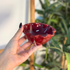 Saladier Tawada Bordeaux Simple