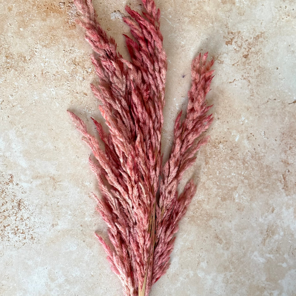 Bouquet de 3 pampas rose saumoné