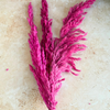 Bouquet de 3 pampas rose fuschia intense