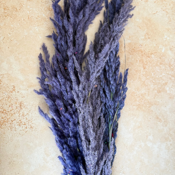 Bouquet de 3 pampas mauve myrtille