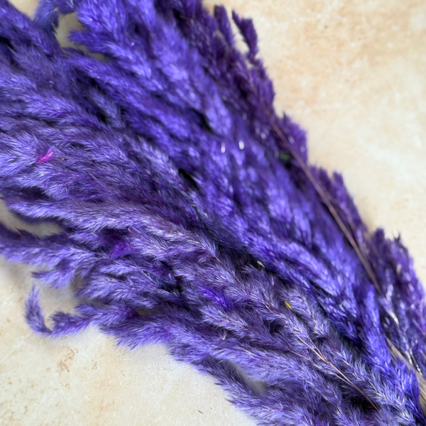 Bouquet de 3 pampas Mauve Indigo