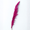 Pampas fuchsia intense