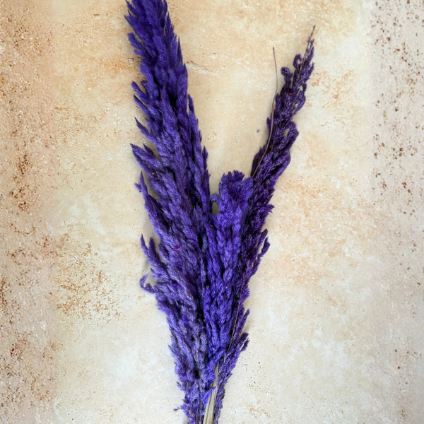 Bouquet de 3 pampas Mauve Indigo