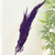 Plumeau mauve 4