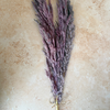 Bouquet de 3 pampas mauve parme