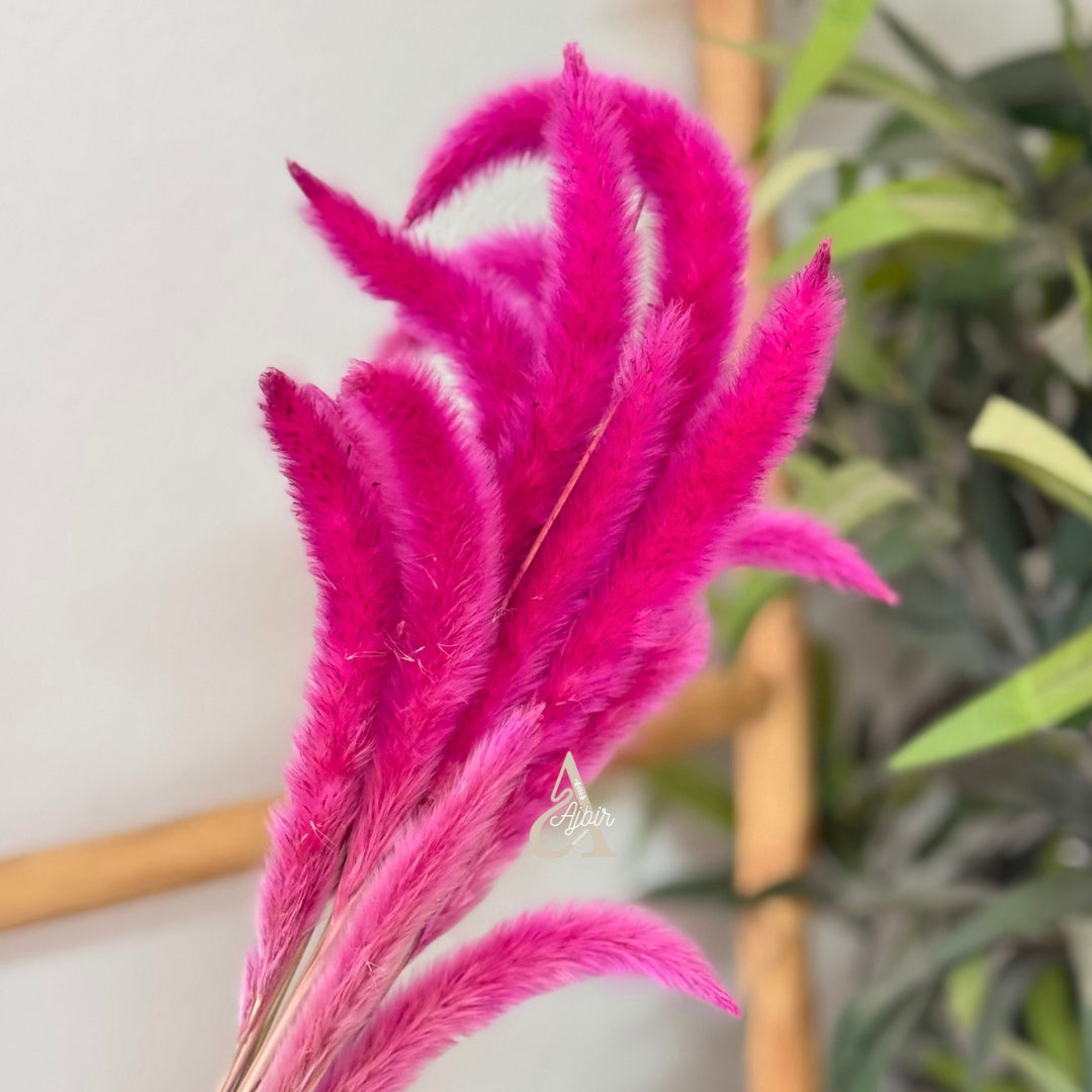 Bouquet de petites plantes séchées rose fuschia