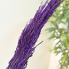 Plumeau mauve 4