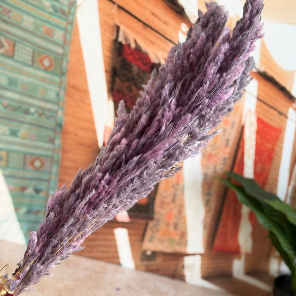 Bouquet de 3 pampas mauve parme