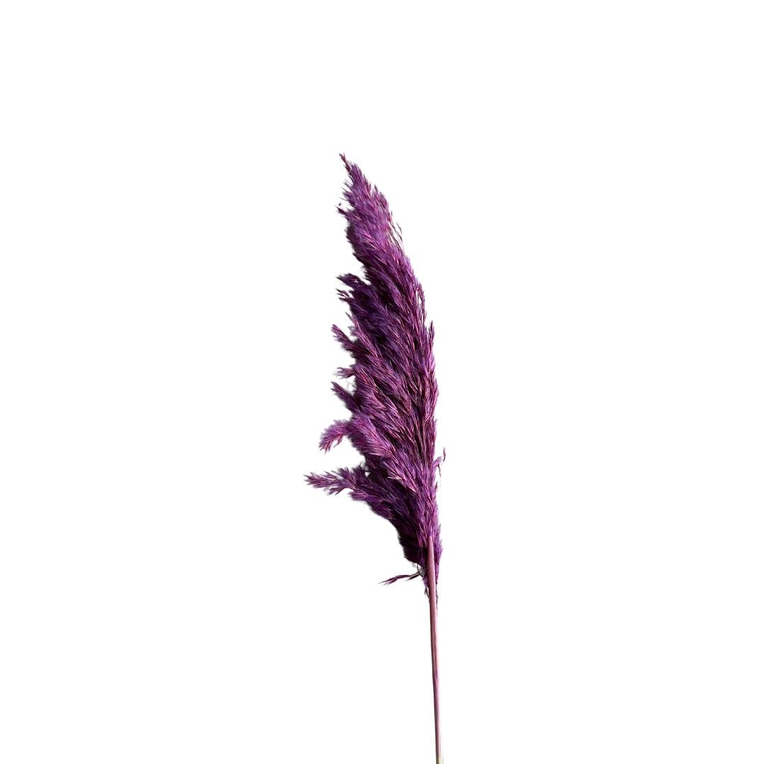 Plumeau mauve 3 - Ajbir