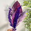 Bouquet plantes séchées mauve